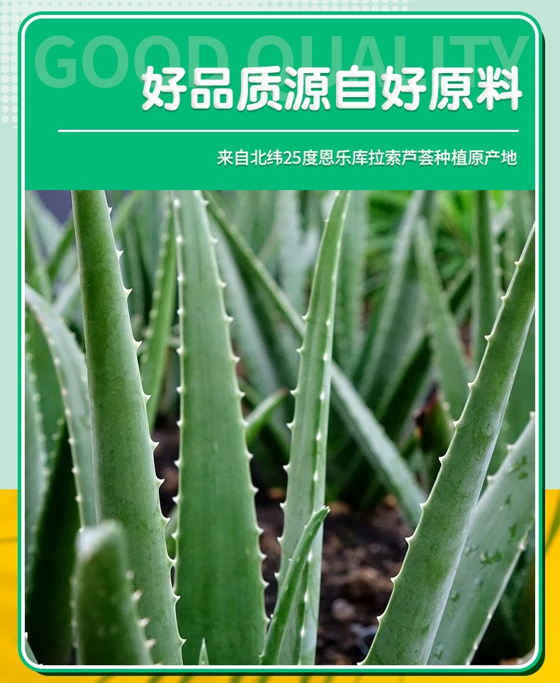 恩乐350ml芦荟粒饮料(图4)